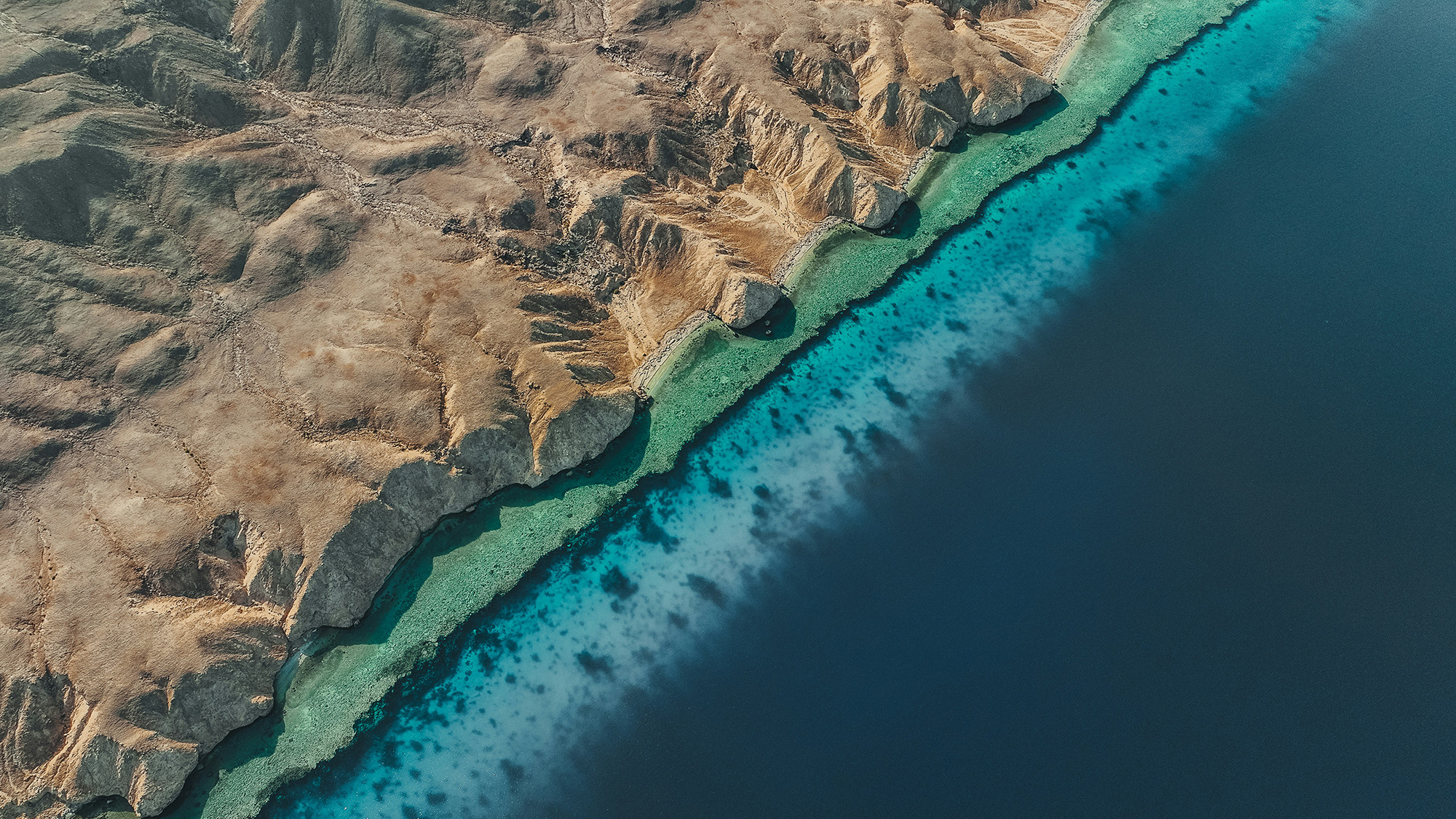 Neom Nature 05